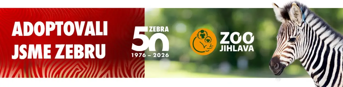 Adopce zebry